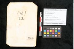 Foto (Objekt + Etikett) von Acer pseudoplatanus L. (NHMW-GEO-2024-0188-11617)